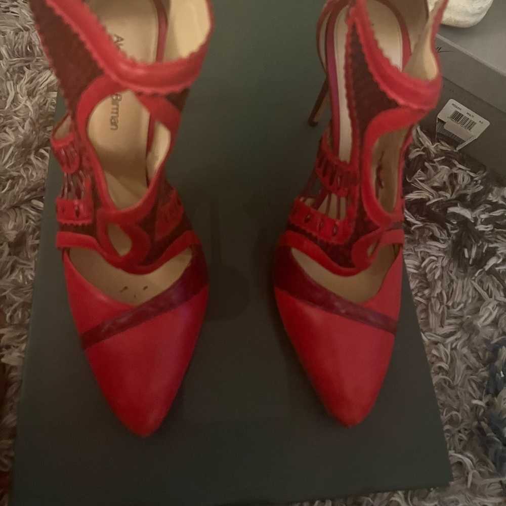 Alexander Birman red ankle shoe